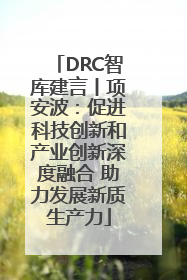 DRC智库建言丨项安波：促进科技创新和产业创新深度融合 助力发展新质生产力