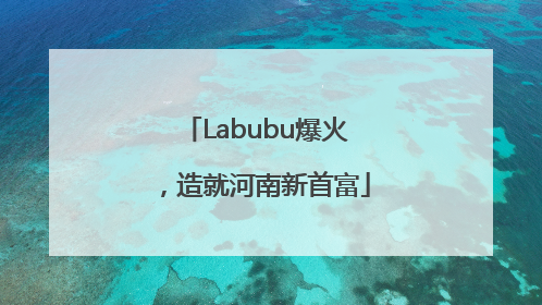 Labubu爆火，造就河南新首富