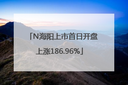 N海阳上市首日开盘上涨186.96%
