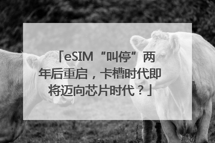 eSIM“叫停”两年后重启，卡槽时代即将迈向芯片时代？